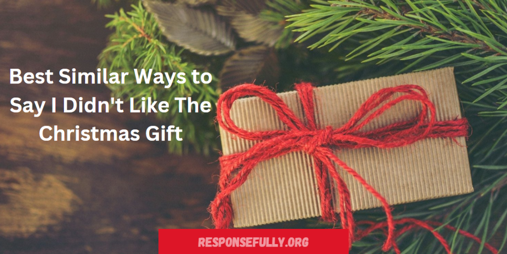 Best Similar Ways to Say I Didn't Like The Christmas Gift